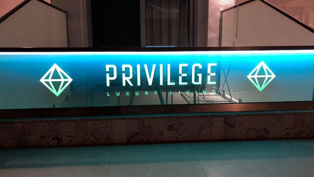 Privilege Gallery 2